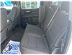 2025 Chevrolet Silverado 1500 Custom Trail Boss (Stk: 26T119B) in Wadena - Image 14 of 22
