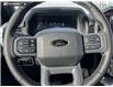 2025 Ford F-150 XLT (Stk: 25AT9772) in Airdrie - Image 14 of 25