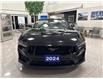 2024 Ford Mustang GT Premium (Stk: 251042B) in Port Hope - Image 2 of 17