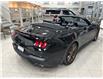 2024 Ford Mustang GT Premium (Stk: 251042B) in Port Hope - Image 15 of 17