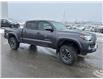 2023 Toyota Tacoma Base (Stk: X049592A) in Cranbrook - Image 7 of 18