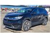 2019 Honda CR-V LX (Stk: N107405A) in Saint John - Image 1 of 13