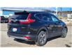 2019 Honda CR-V LX (Stk: N107405A) in Saint John - Image 6 of 13