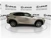 2021 Lexus NX 300h  (Stk: 14111887A) in Markham - Image 10 of 29