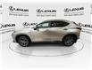 2025 Lexus NX 450h+  (Stk: 14U7275) in Markham - Image 6 of 30