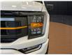 2023 Ford F-150 Tremor (Stk: 25511A) in Melfort - Image 3 of 19