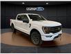 2023 Ford F-150 Tremor (Stk: 25511A) in Melfort - Image 4 of 19