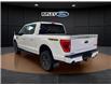 2023 Ford F-150 Tremor (Stk: 25511A) in Melfort - Image 9 of 19