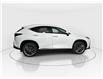 2026 Lexus NX 350h  (Stk: 14112096) in Markham - Image 8 of 8