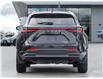 2023 Lexus NX 250  (Stk: 15105456A) in Richmond Hill - Image 7 of 24