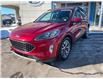 2021 Ford Escape Titanium Hybrid in Charlottetown - Image 3 of 19