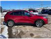 2021 Ford Escape Titanium Hybrid in Charlottetown - Image 6 of 19