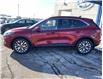2021 Ford Escape Titanium Hybrid in Charlottetown - Image 2 of 19