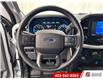 2021 Ford F-150  (Stk: 21168) in Lethbridge - Image 13 of 21