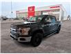2018 Ford F-150 XLT (Stk: C1663B) in Lethbridge - Image 8 of 22