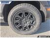 2025 Ford Bronco Sport Badlands (Stk: 28232) in Dartmouth - Image 6 of 24