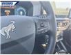 2025 Ford Bronco Sport Badlands (Stk: 28232) in Dartmouth - Image 14 of 24