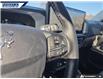 2026 Ford Bronco Sport Badlands (Stk: 28304) in Dartmouth - Image 14 of 24