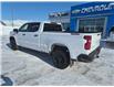 2025 Chevrolet Silverado 1500 Custom Trail Boss (Stk: 26T119B) in Wadena - Image 18 of 22