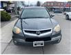 2008 Acura RDX Tech Pkg (Stk: 5J8TB18598A801496) in Scarborough - Image 8 of 19 2008 Acura RDX Tech Pkg (Stk: 5J8TB18598A801496) in Scarborough - Image 8 of 19