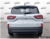 2026 Ford Escape ST-Line (Stk: 260126DT) in Hamilton - Image 5 of 21