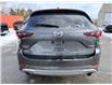 2024 Mazda CX-5 Signature (Stk: 16142) in Newmarket - Image 4 of 35