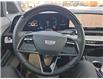 2025 Cadillac OPTIQ Sport (Stk: 2026178A) in ARNPRIOR - Image 14 of 20