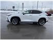 2026 Lexus NX 350 (Stk: C101043K) in Cranbrook - Image 2 of 22 2026 Lexus NX 350 (Stk: C101043K) in Cranbrook - Image 2 of 22