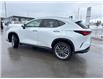 2026 Lexus NX 350 (Stk: C101043K) in Cranbrook - Image 3 of 22 2026 Lexus NX 350 (Stk: C101043K) in Cranbrook - Image 3 of 22