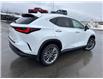 2026 Lexus NX 350 (Stk: C101043K) in Cranbrook - Image 5 of 22 2026 Lexus NX 350 (Stk: C101043K) in Cranbrook - Image 5 of 22