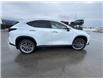 2026 Lexus NX 350 (Stk: C101043K) in Cranbrook - Image 6 of 22 2026 Lexus NX 350 (Stk: C101043K) in Cranbrook - Image 6 of 22