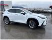 2026 Lexus NX 350 (Stk: C101043K) in Cranbrook - Image 7 of 22 2026 Lexus NX 350 (Stk: C101043K) in Cranbrook - Image 7 of 22