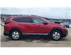 2022 Honda CR-V Touring (Stk: N227855A) in Saint John - Image 7 of 13