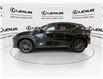 2024 Lexus NX 350h  (Stk: 14U7297) in Markham - Image 6 of 28