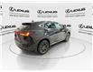 2024 Lexus NX 350h  (Stk: 14U7297) in Markham - Image 9 of 28