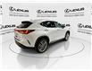 2025 Lexus NX 350h  (Stk: 14111816A) in Markham - Image 9 of 29