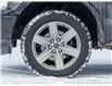 2019 Ford F-150  (Stk: P1067) in Mississauga - Image 8 of 29