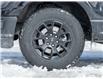 2024 Ford F-150 STX (Stk: P1029) in Mississauga - Image 6 of 27