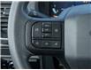 2024 Ford F-150 STX (Stk: P1029) in Mississauga - Image 14 of 27