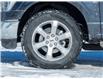 2022 Ford F-150 (Stk: P1061) in Mississauga - Image 8 of 34 2022 Ford F-150 (Stk: P1061) in Mississauga - Image 8 of 34