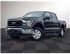 2023 Ford F-150  (Stk: TR06621) in Windsor - Image 1 of 24