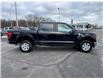 2023 Ford F-150 (Stk: TR06621) in Windsor - Image 6 of 24 2023 Ford F-150 (Stk: TR06621) in Windsor - Image 6 of 24