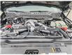2026 Ford F-350 Platinum (Stk: MT091) in Kamloops - Image 10 of 24