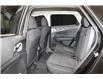 2024 Kia Sportage LX (Stk: 25241) in Edmonton - Image 14 of 18
