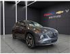 2024 Hyundai Tucson Hybrid Ultimate (Stk: B260043A) in Gatineau - Image 6 of 17