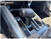 2026 Ford F-150 XLT (Stk: 6F129280) in Brantford - Image 16 of 23