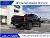 2026 Ford F-250 Platinum (Stk: LFFF01507) in Tilbury - Image 3 of 15