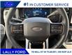 2026 Ford F-250 Platinum (Stk: LFFF01507) in Tilbury - Image 11 of 15