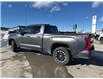 2023 Toyota Tundra SR (Stk: T112463A) in Cranbrook - Image 3 of 19