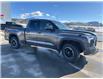 2023 Toyota Tundra SR (Stk: T112463A) in Cranbrook - Image 7 of 19